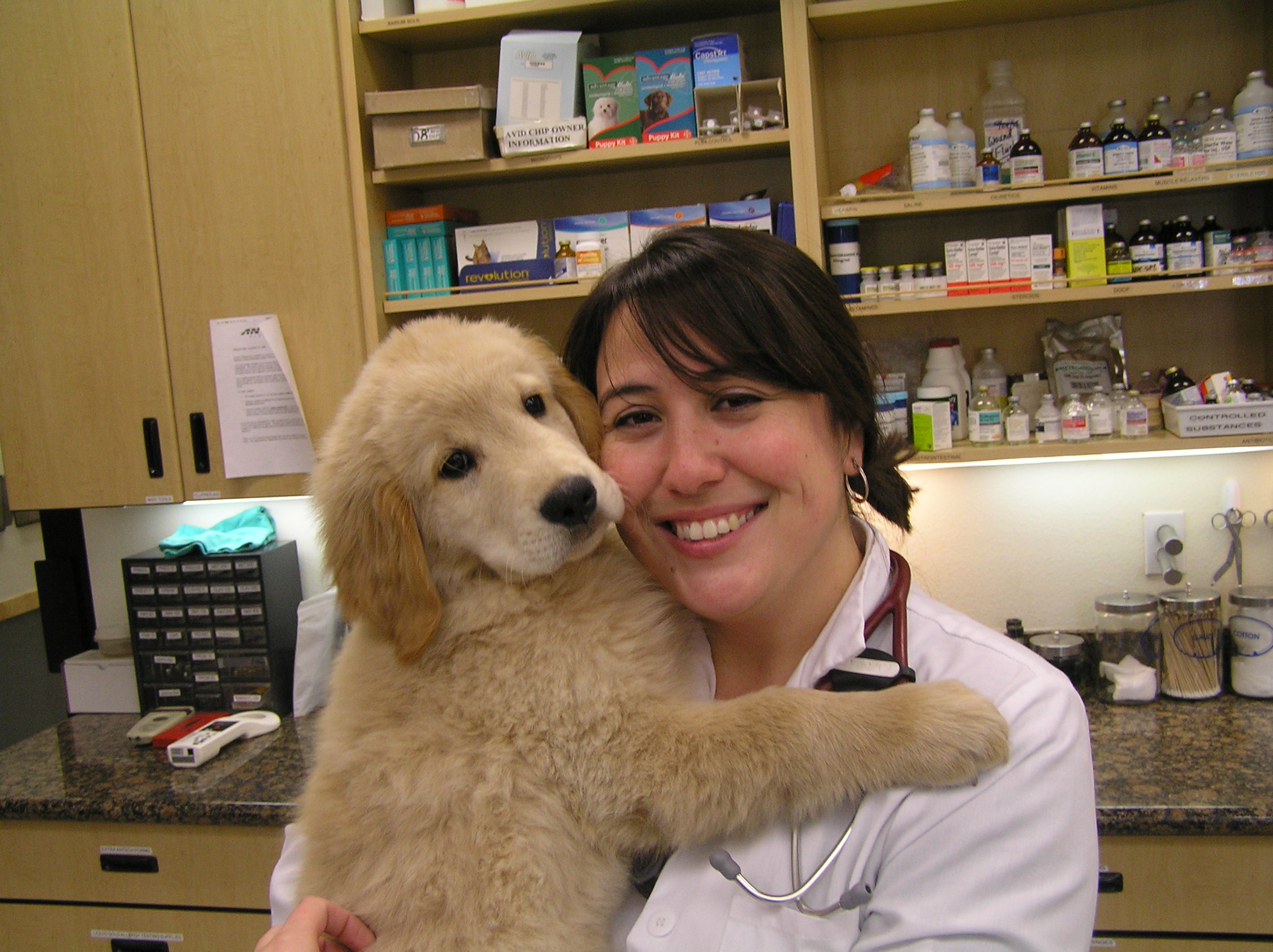 Corona Animal Hospital - Veterinarian in Corona, CA USA :: About Us